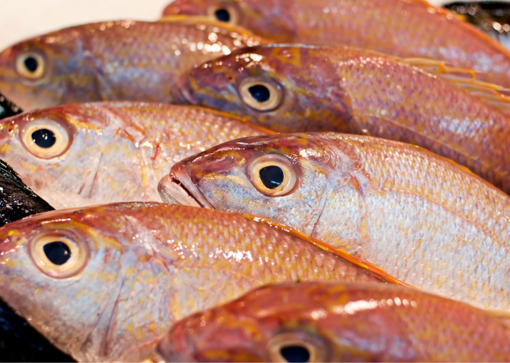 Redfish